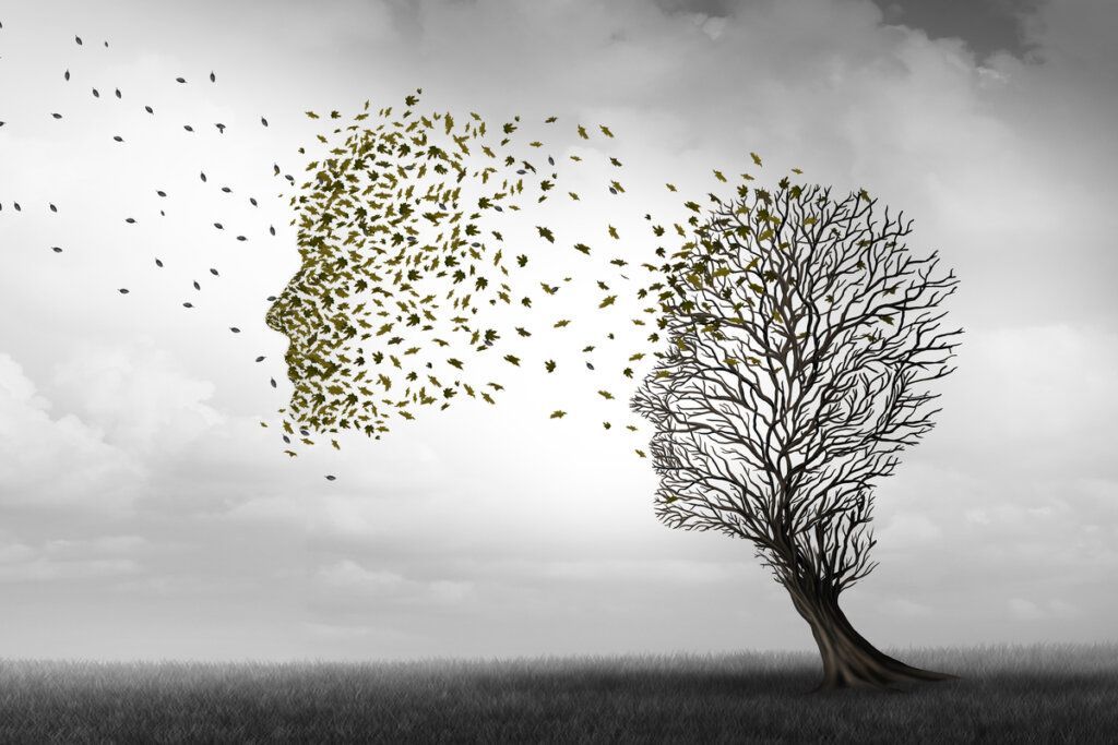 arbol forma cabeza 1024x683 1